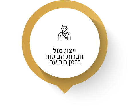 ייצוג מול חברות הביטוח בזמן תביעה